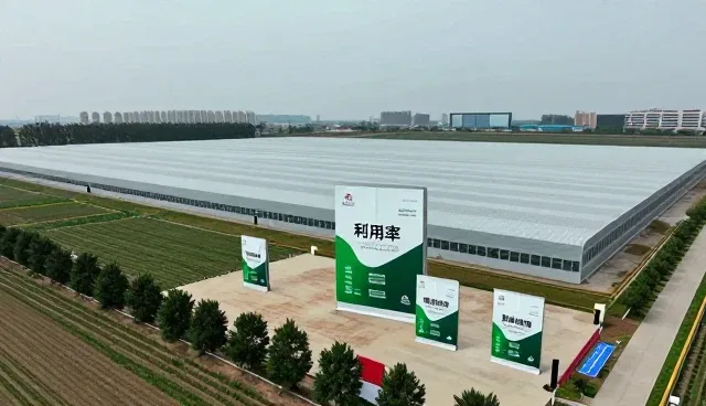 技术培训中的性能评估与适用场景选择